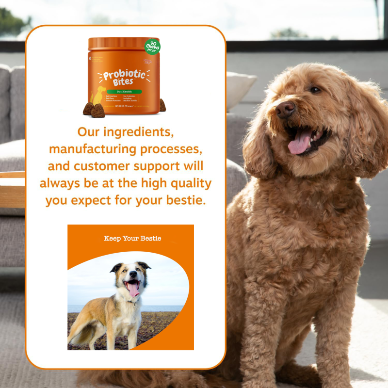 Probiotic Soft Chews for Dogs Factory - OEM Natural Pet Snacks & Health Supplements