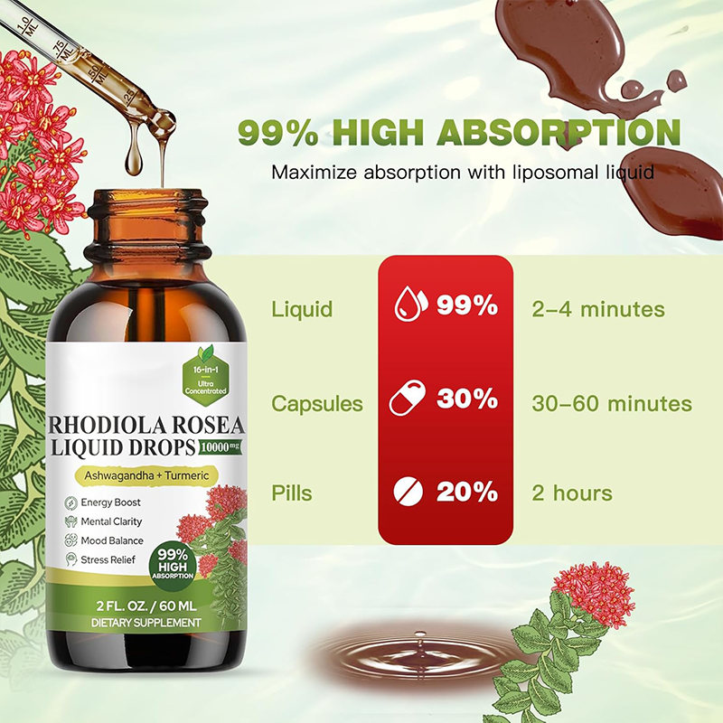 Probiotic Powder Manufacturer - OEM Daily Fiber Digestive Health