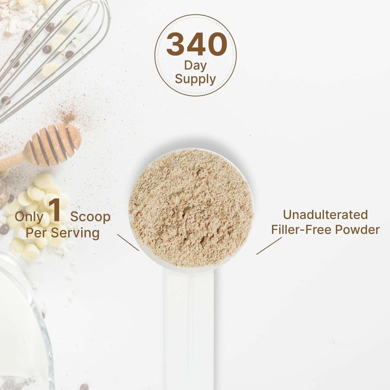 Whey Protein Powder Supplier - OEM High Protein Muscle Supplement