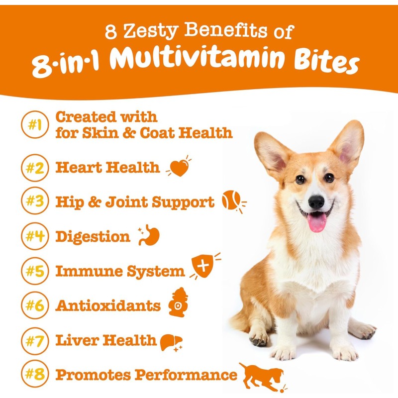 Dog & Cat Vitamin Supplement Manufacturer - 8-in-1 Multivitamin Pet Food Chews