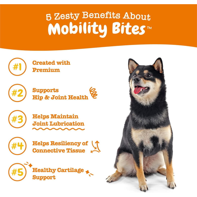 Salmon Oil for Dogs Supplier - Bulk Private Label Liquid Pet Supplement