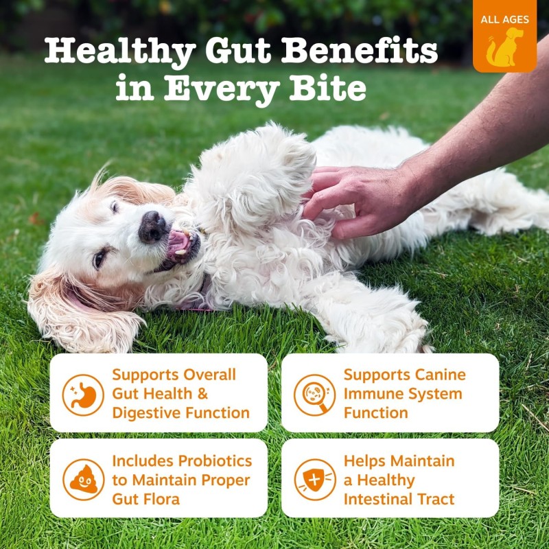 Probiotic Soft Chews for Dogs Factory - OEM Natural Pet Snacks & Health Supplements