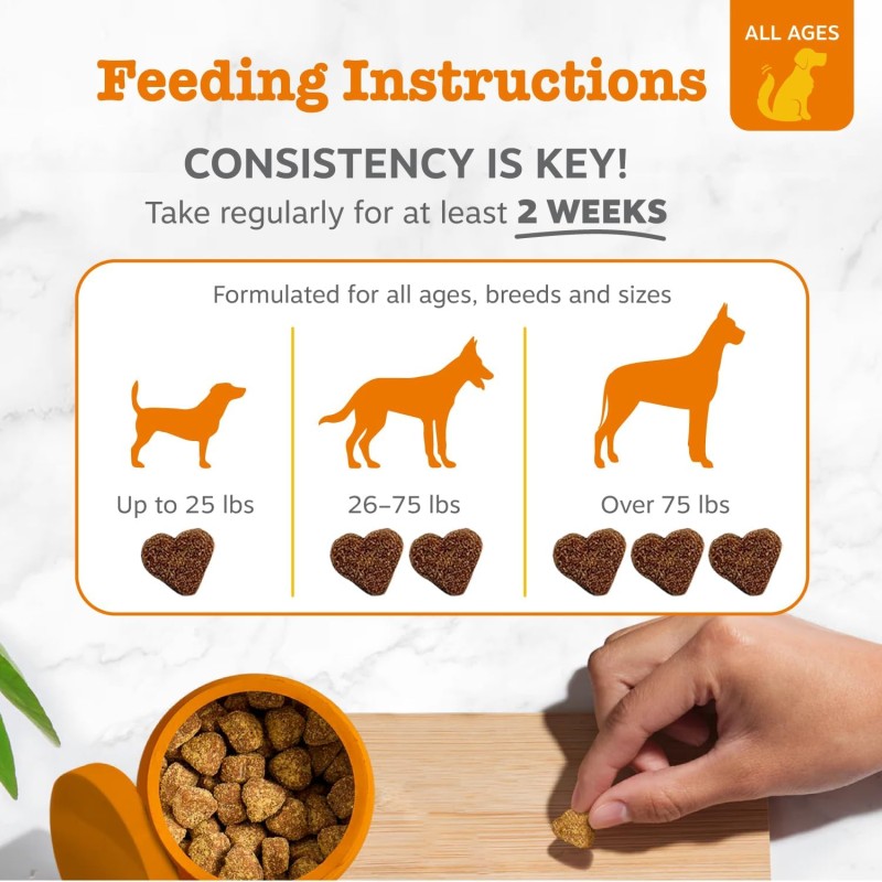 Probiotic Soft Chews for Dogs Factory - OEM Natural Pet Snacks & Health Supplements