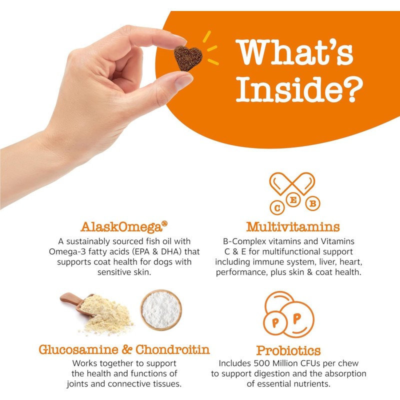 Dog & Cat Vitamin Supplement Manufacturer - 8-in-1 Multivitamin Pet Food Chews