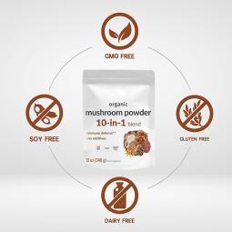 Whey Protein Powder Supplier - OEM High Protein Muscle Supplement