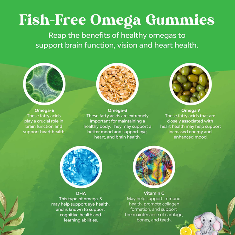 Vegan Omega-3 Gummies Factory - OEM Wholesale 1100mg Supplement