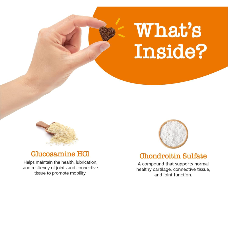 Pet Food Chews Manufacturer - OEM/ODM Custom Joint Supplements for Dogs