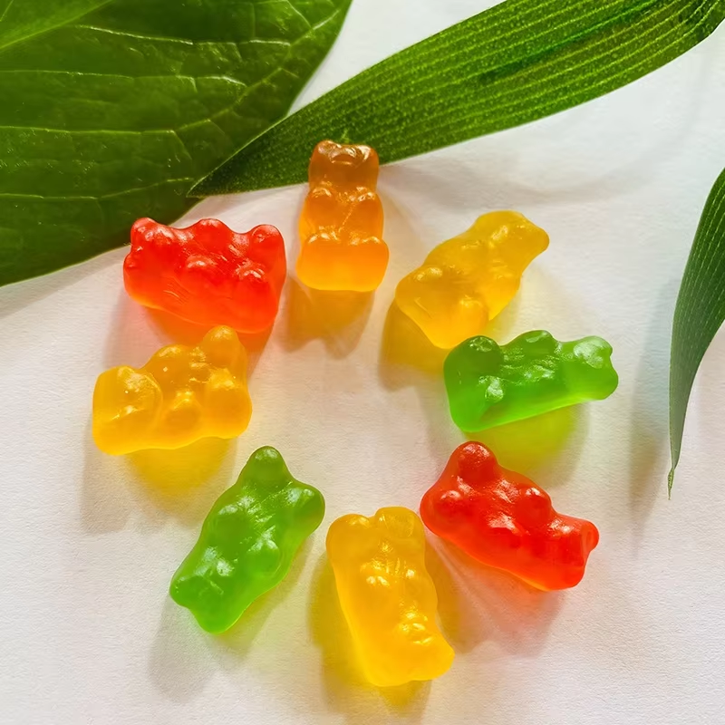 Organic Kids Vitamin Gummies Factory - Natural Herb Vegan Multivitamin