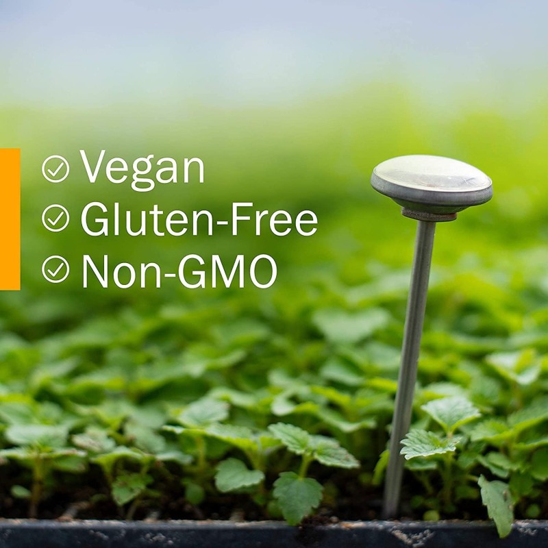 Mushroom Blend Powder Supplier - Private Label OEM Mushroom Extract