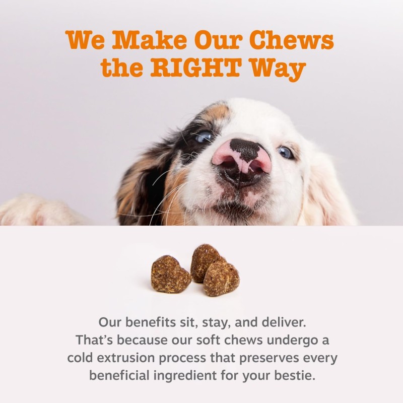 Probiotic Soft Chews for Dogs Factory - OEM Natural Pet Snacks & Health Supplements