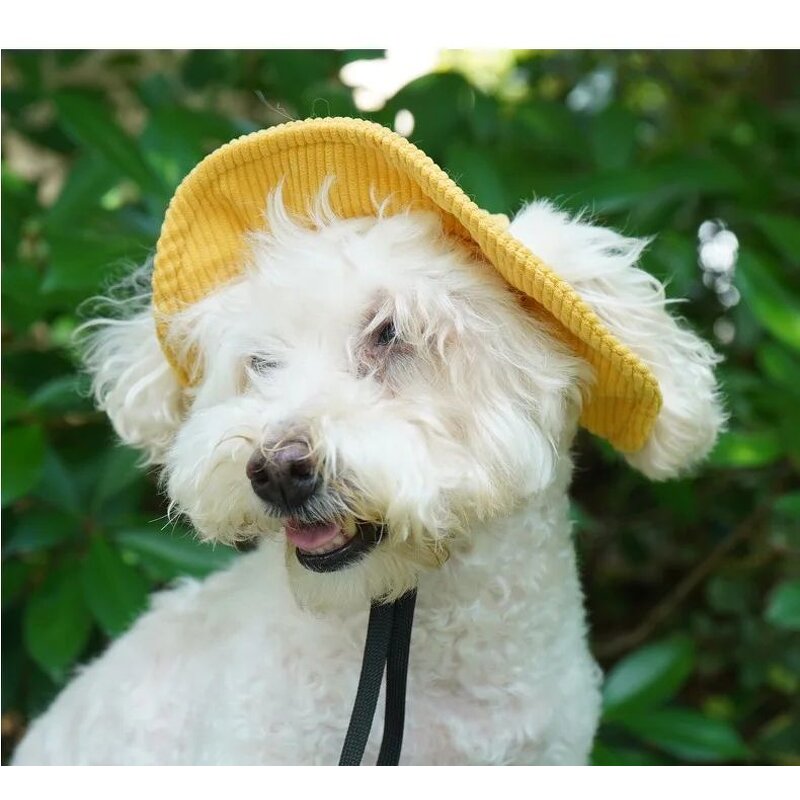 Pet Fisherman Hat - Manufacturer - JXANRY Earless Sunshade Small Dogs Cowboy Corgi Teddy Polyester