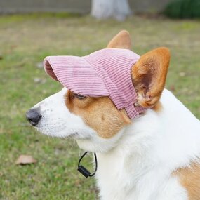 Pet Fisherman Hat - Manufacturer - JXANRY Earless Sunshade Small Dogs Cowboy Corgi Teddy Polyester