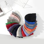 Beanies/ Knitted Hat//Balaclava Hooded