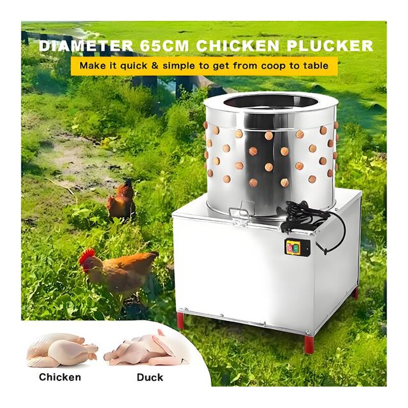 Poultry Feather Removal Machine - Manufacturer - Quail Chicken Slaughter Equipment Livestock Core Bearing