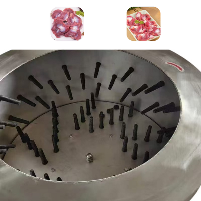 Poultry Cleaning Machine - Manufacturer - Motorized Gizzard Fat Remover Feet Peeler Plucker Feature