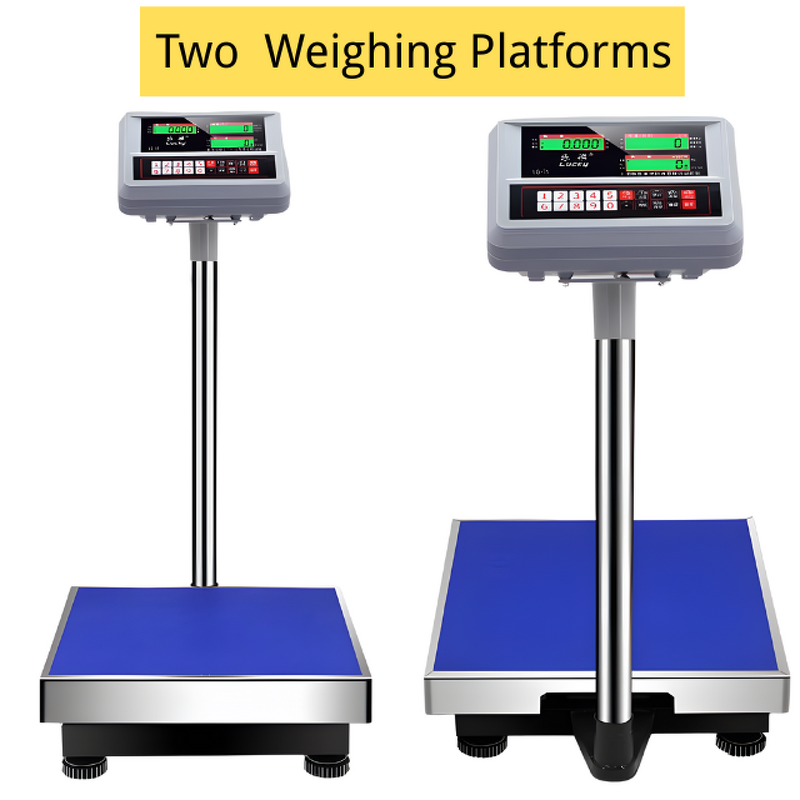 Livestock Weight Scale - Manufacturer - MD Plate Type Slaughtering Abattoir Equipment Motor Bearing
