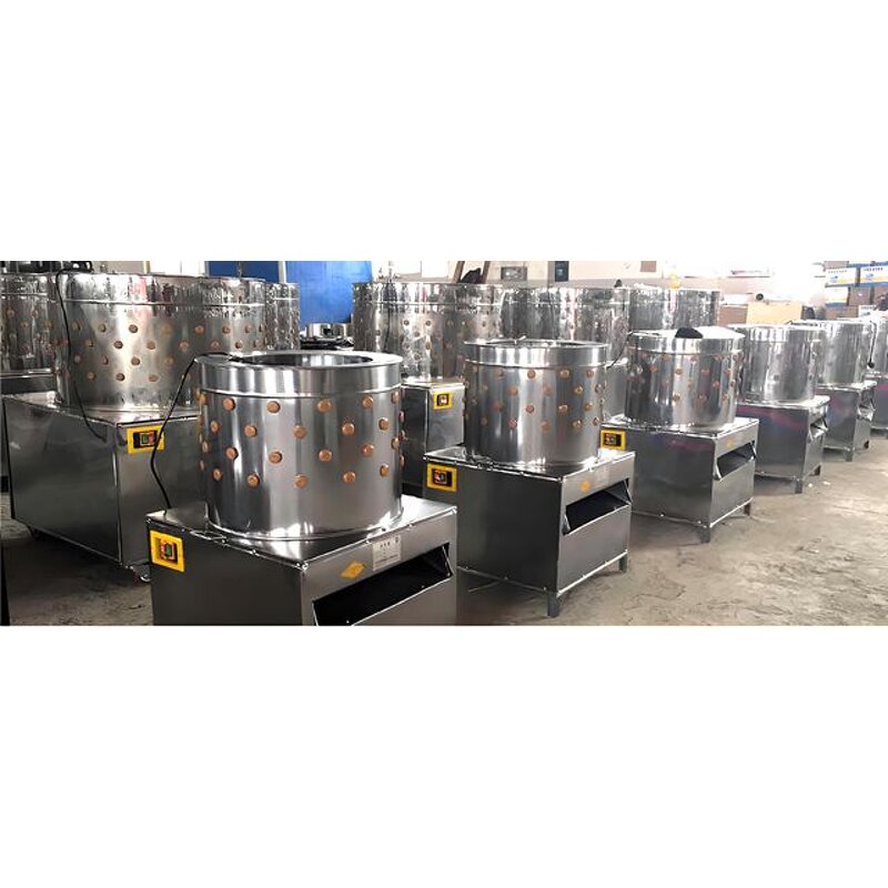 Poultry Feather Removal Machine - Manufacturer - Quail Chicken Slaughter Equipment Livestock Core Bearing