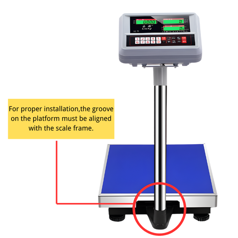 Livestock Weight Scale - Manufacturer - MD Plate Type Slaughtering Abattoir Equipment Motor Bearing