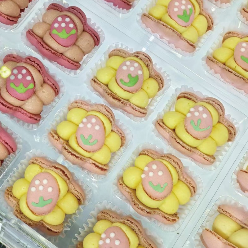 Macaron Biscuit Manufacturer - Cream Flavor Custom