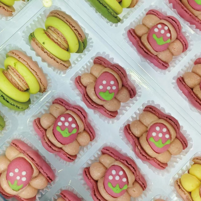 Cream Filled Macaron Cookie Manufacturer - Competitive Pricing