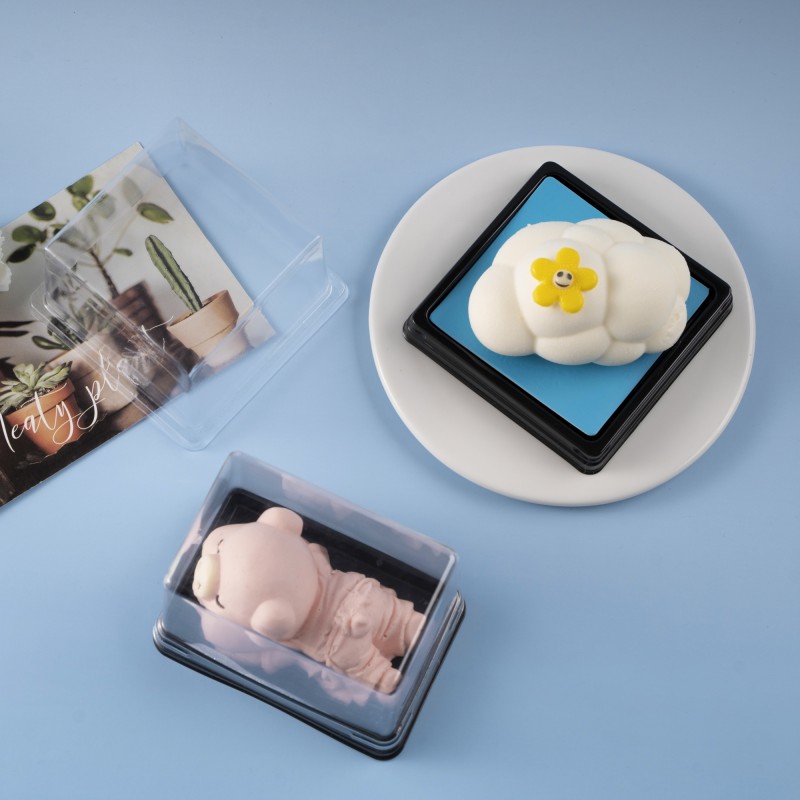 Parfait Macaron Container Factory - Square Blister Box