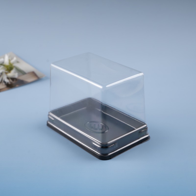 Mini Plastic Box Manufacturer - Pet Birthday Gift Carrier