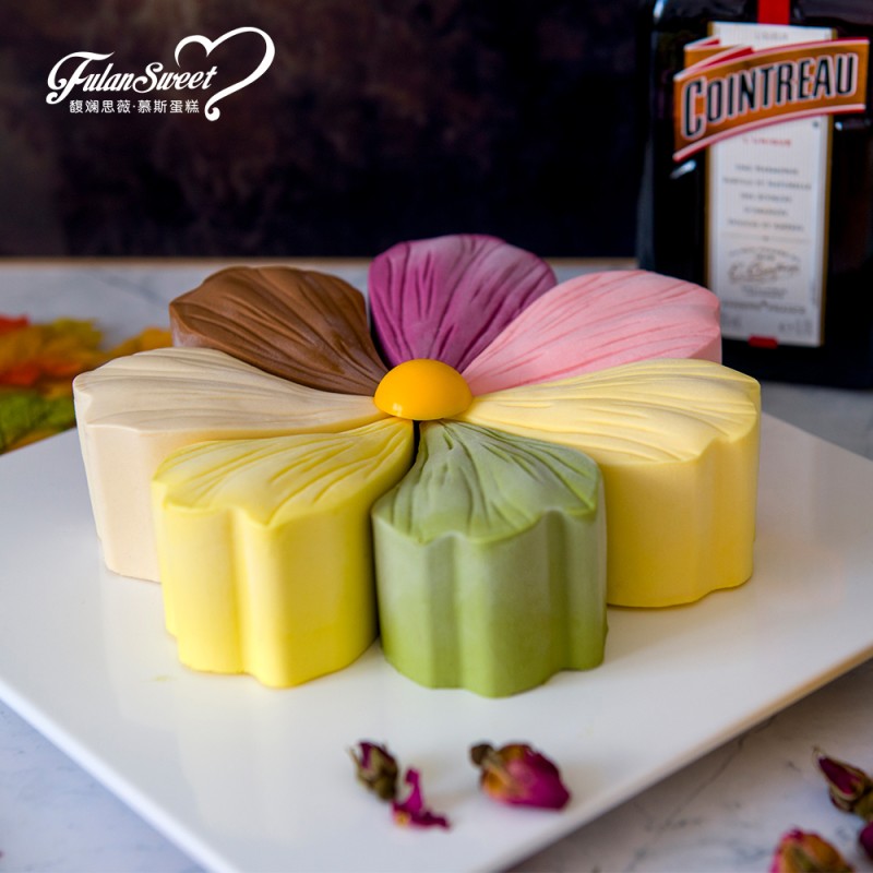 Hazelnut Chocolate Cake Supplier - Fast Delivery