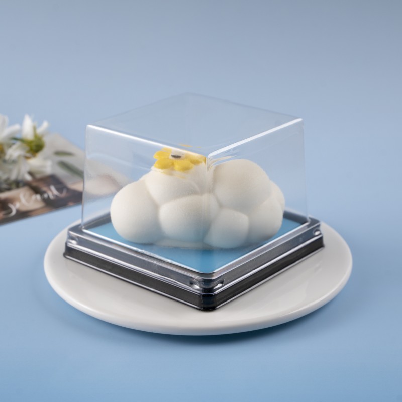 Transparent Cake Box Supplier - Square Blister Verrine