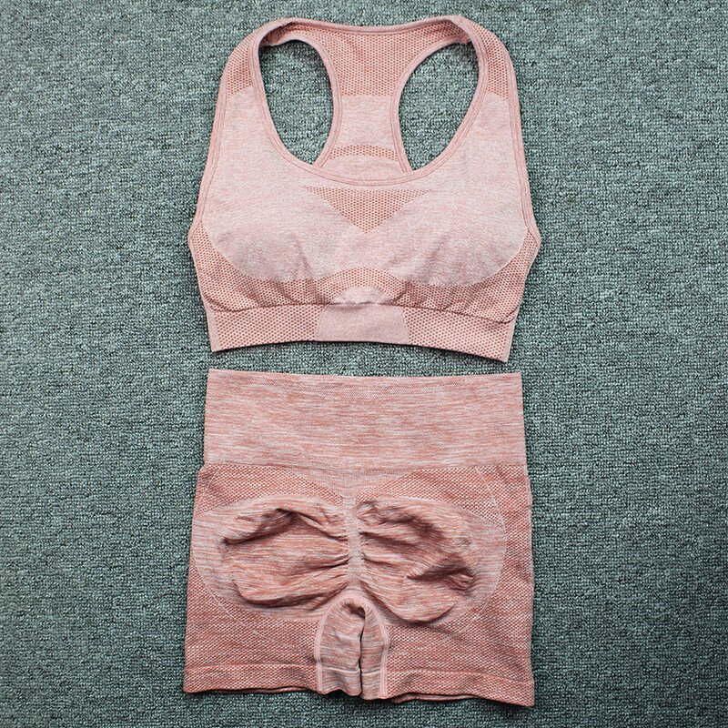 2PCS Seamless Yoga Set - Manufacturer - Sports Bra High Waist Shorts Fitness Gym Clothes Outfits