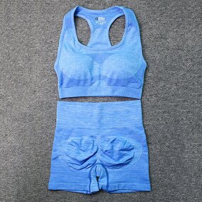 2PCS Seamless Yoga Set - Manufacturer - Sports Bra High Waist Shorts Fitness Gym Clothes Outfits