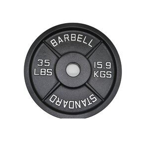 Weight Plates - Manufacturer - Cast Iron 5KG Bumper 20KG Free Weights Fitness
