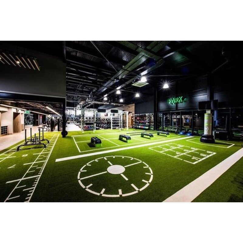 Artificial Grass - Manufacturer - Customizable Factory Indoor Gym PU Foamed Turf