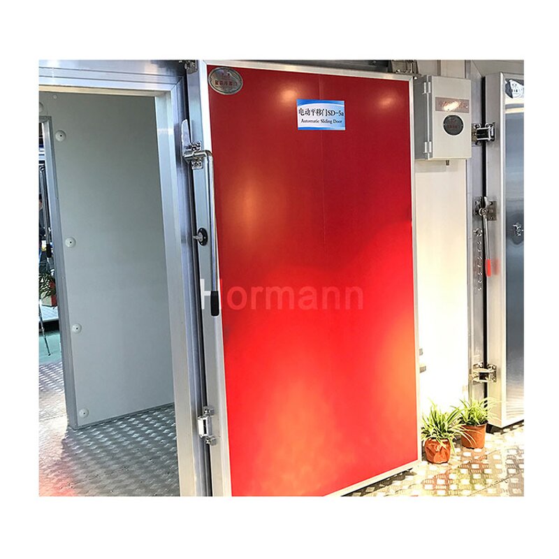 Cold Storage Door Panel Manufacturer - Double-sided Color Coated PU Board Insulation Stainless Steel Sheet