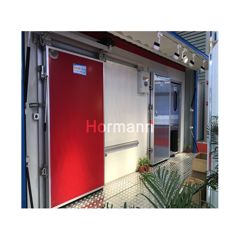 Cold Storage Door Panel Manufacturer - Double-sided Color Coated PU Board Insulation Stainless Steel Sheet