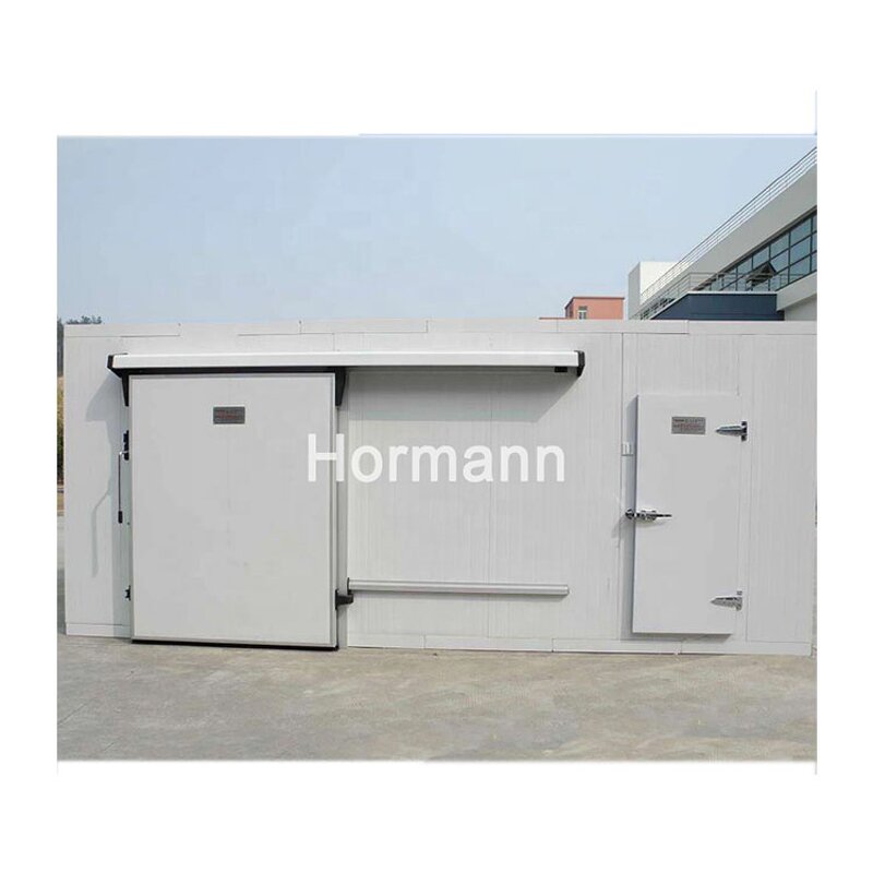 Cold Storage Door Manufacturer - Hinged PU Panel Low Temperature Small House Fresh-keeping Fruit