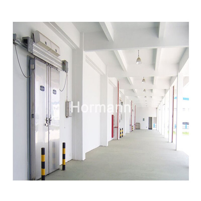 Cold Storage Door Manufacturer - Hinged PU Panel Low Temperature Small House Fresh-keeping Fruit
