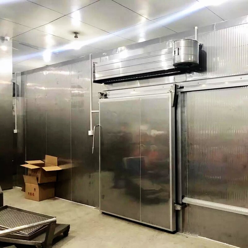 Cold Storage Door Manufacturer - Stainless Steel Electric Automatic Sliding Cold Room Sliding