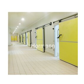 Cold Storage Door Manufacturer - Hinged PU Panel Low Temperature Small House Fresh-keeping Fruit