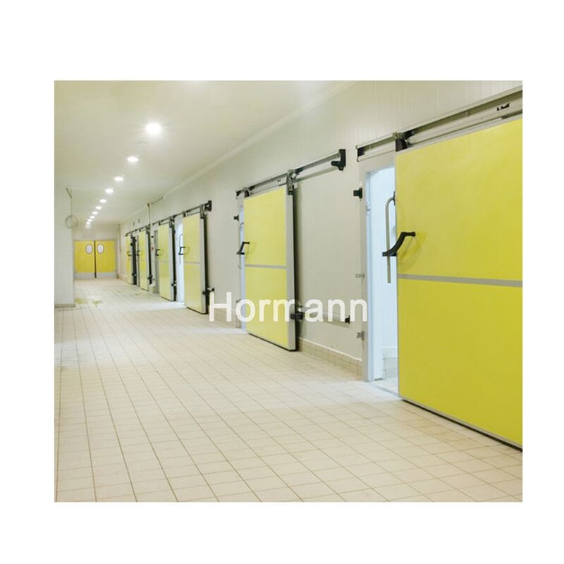Cold Storage Door Manufacturer - Hinged PU Panel Low Temperature Small House Fresh-keeping Fruit