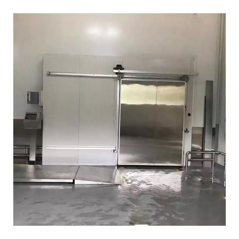 Cold Storage Door Manufacturer - Thermal Insulation Electric Sliding Open