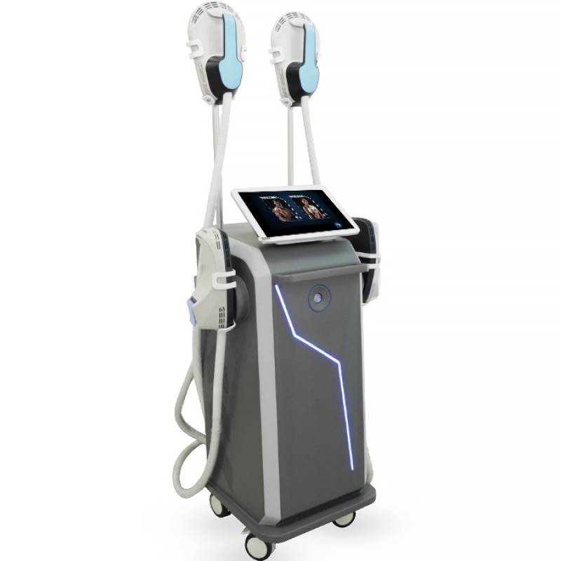 Standing Fat Freezing Machine Supplier - Slimming Weight Loss