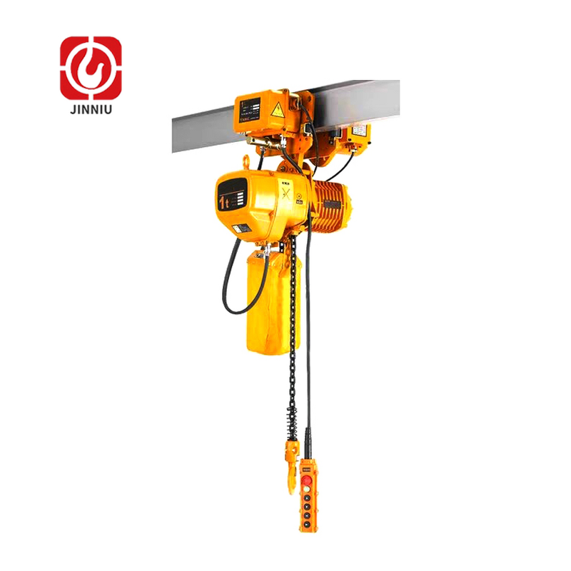 Chain Hoist Manufacturer - CE Certified 1 Ton MD1 Model with Pendant Control Single Speed