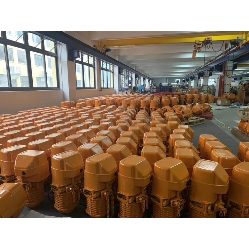 Chain Hoist Manufacturer - CE ISO Certified 0.5 Ton with Wireless Remote Control Single/Double Speed