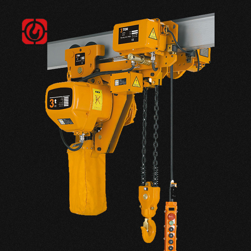 Chain Hoist Manufacturer - CE Certified 1 Ton MD1 Model with Pendant Control Single Speed