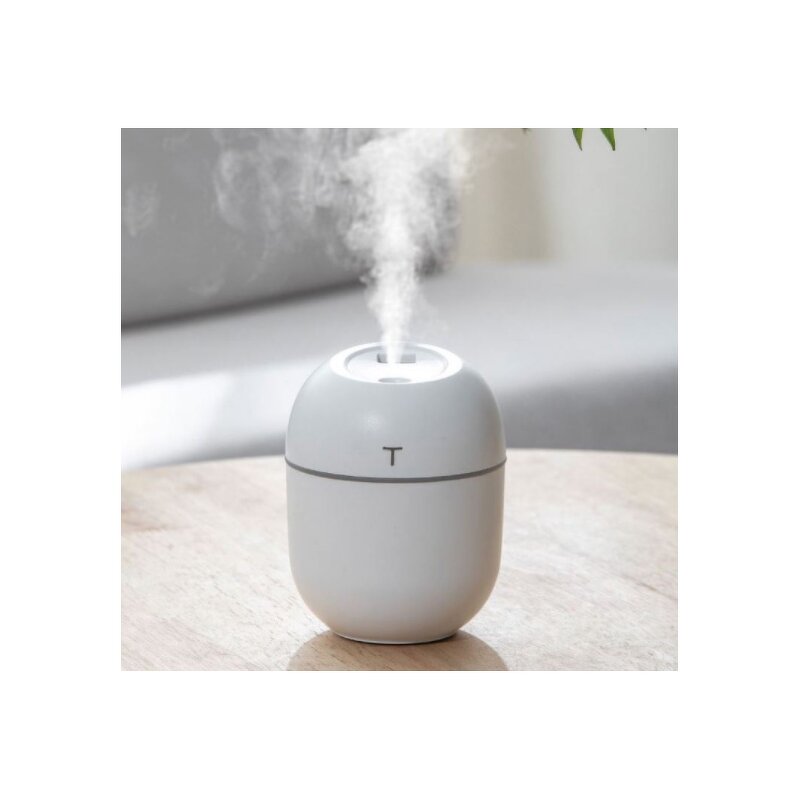 USB Humidifier - Manufacturer - MINI 200ml T Egg for Office Desk Use