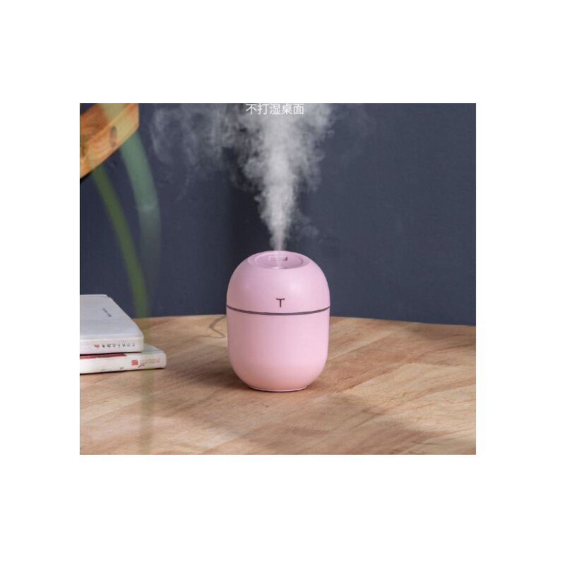 USB Humidifier - Manufacturer - MINI 200ml T Egg for Office Desk Use