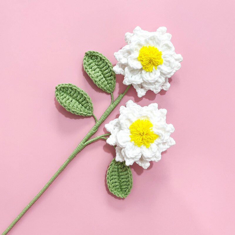 Crochet Fruit Patches - Manufacturer - 2024 Custom Multi-Head Lemon Blueberry