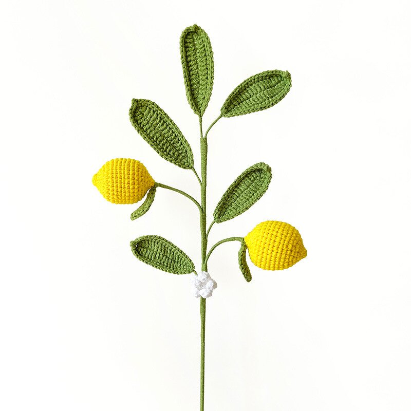 Crochet Fruit Patches - Manufacturer - 2024 Custom Multi-Head Lemon Blueberry