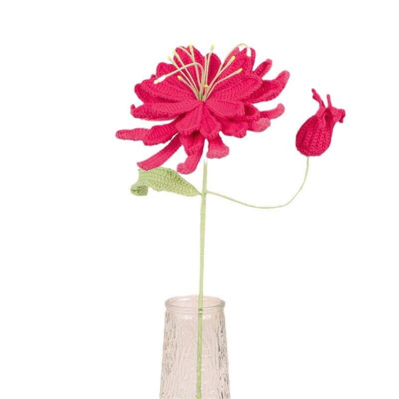 Crochet Flower Bouquet - Manufacturer - 2024 Hand Knitted Wind Hyacinth Home