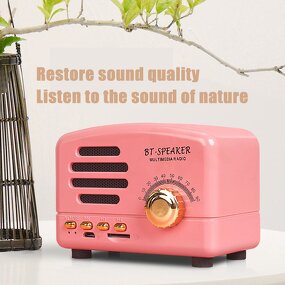 Wireless Speaker Manufacturer - Mini Retro Style with FM Function BT Built-in Battery
